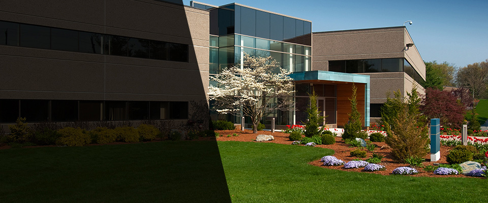 Medina Landscapers
